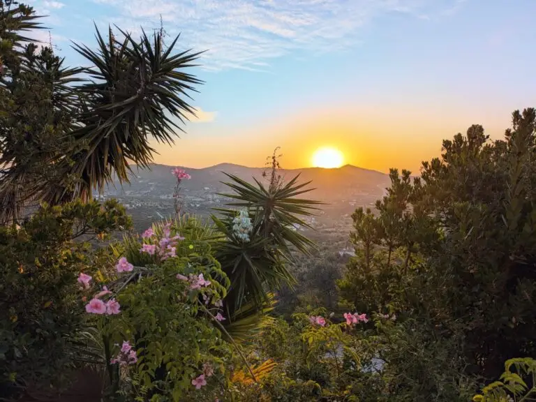 psilocybin mushroom retreat sunrise view Faro