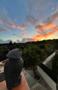 an owl overlooking the nature at sunset