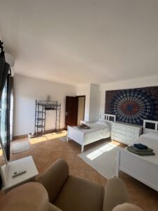 a double occupancy room with AC and terrace access. two single beds.