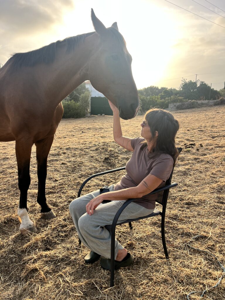 a woman in her 50s holding a horse's chin during equine connection workshop, led by Intuitive Kasham