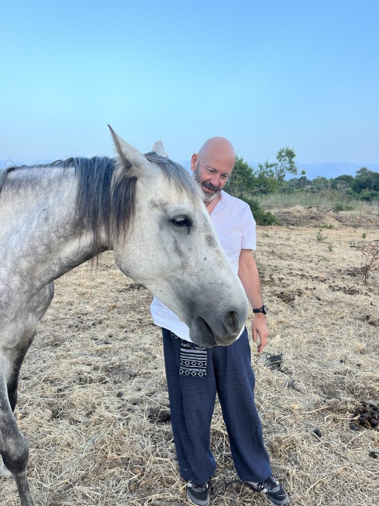 a man in his 50s connecting with a grey horse during equine therapy connection. led by Intuitive Kasham
