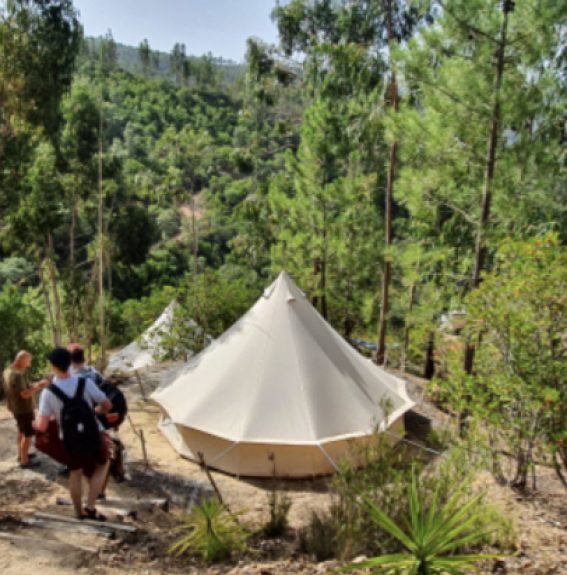 July Psilocybin Retreat glamping