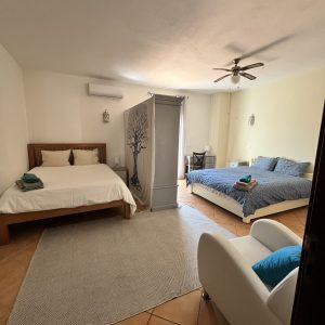 two double beds with room divider at a psilocybin mushroom retreat