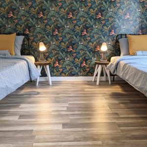 Twin shared room psilocybin retreat portugal